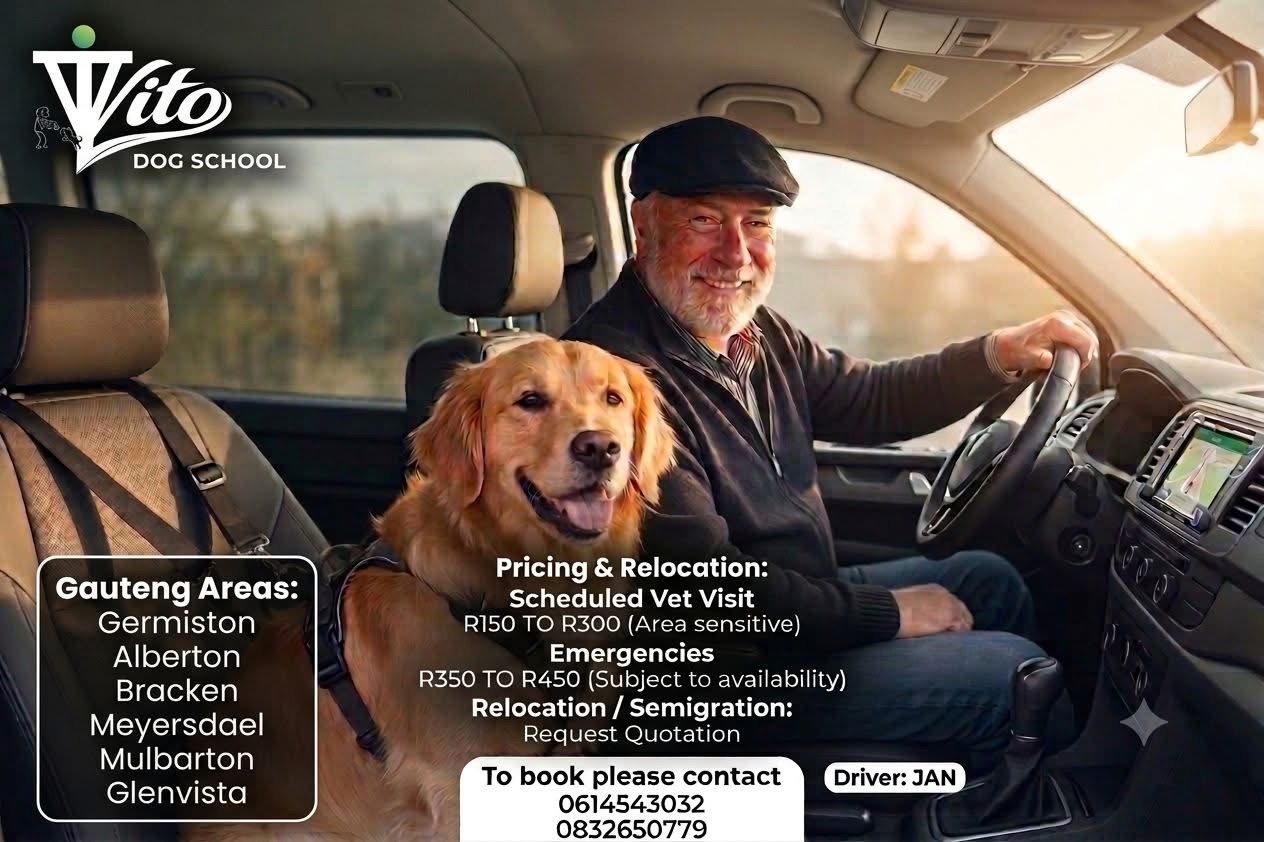 Vito Dog School pet transport flyer — driver Jan with a Golden Retriever in the passenger seat